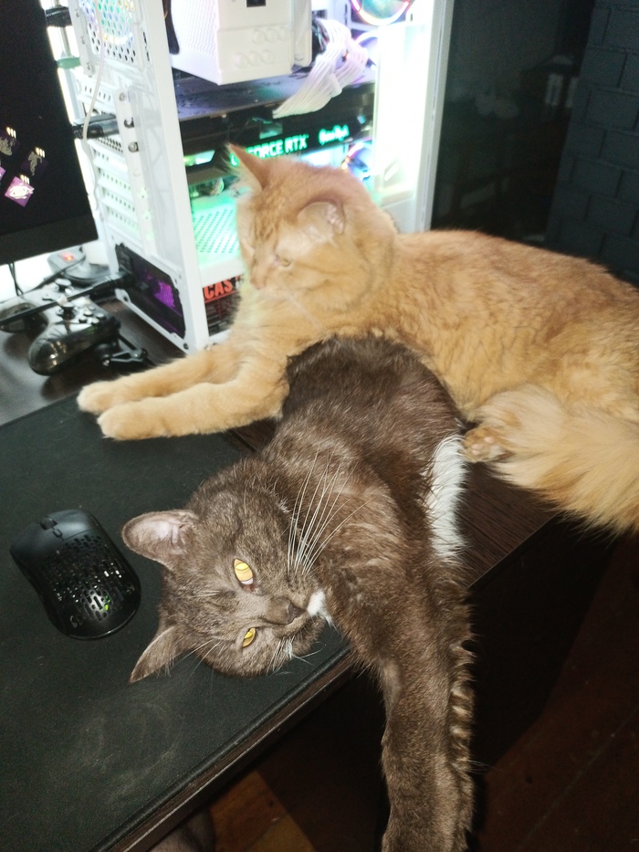 Первый пост и сразу шерстяные