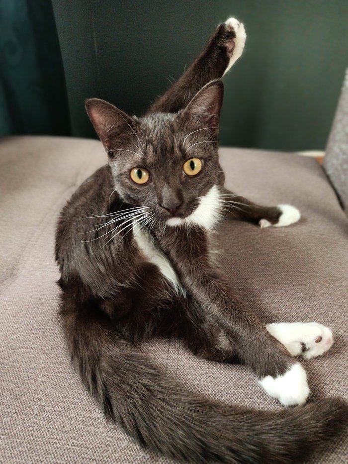 Знакомьтесь. Корица