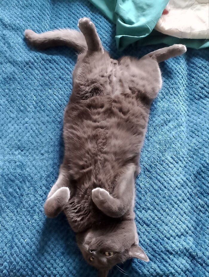 ������� ��� ����������