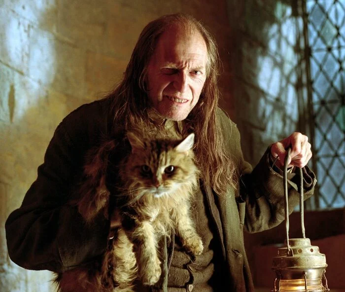 Reply to the post I found out today - Reply to post, Actors and actresses, Harry Potter