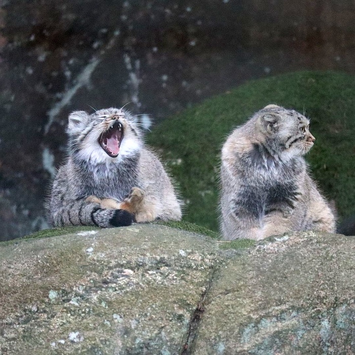 - Третье сентябряяяяя!