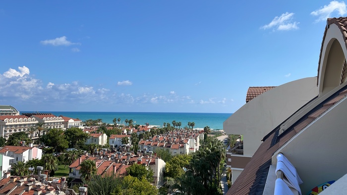 ����� 2024