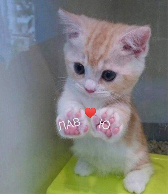 Спасательный круг