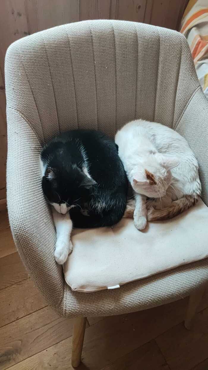  , , ,  , 