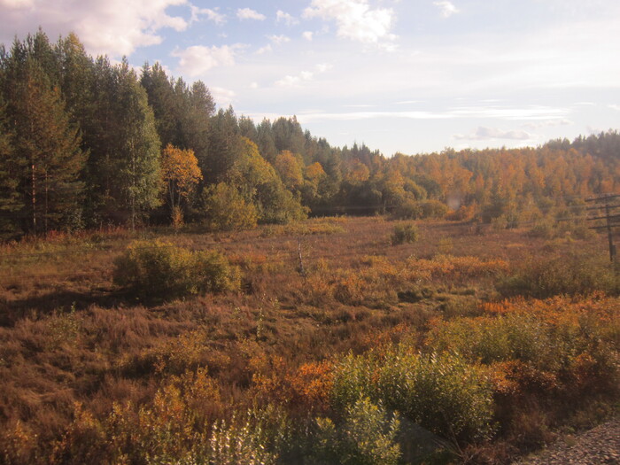 Чем севернее, тем больше осени