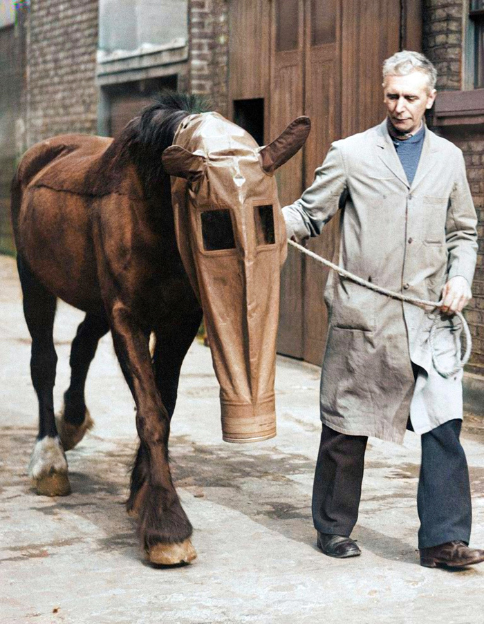 Любопытные фотографии из прошлого Великобритании. 20 раскрашенных фотографий ХХ века. Часть V Старое фото, Историческое фото, Фотография, Колоризация, Великобритания, 19 век, Длиннопост