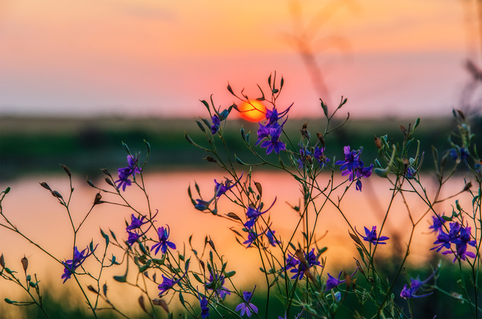 ��������� ����� � ������...