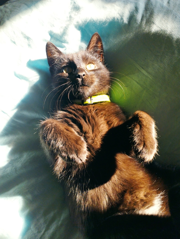 ������ ��� = ����? ������ ��� ������ � ����, ��� ������, � ������ �������� ������