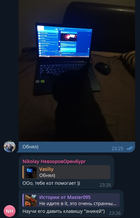 Истории от Master095. У IT-шников есть странные приколы... - Моё, Истории из жизни, Клиенты, Ремонт техники, Кот, Длиннопост