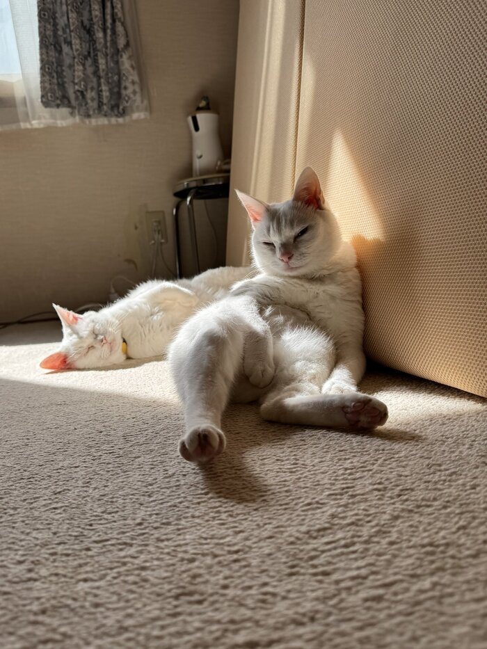 [ ���� �� ������� shinbaba10 ]