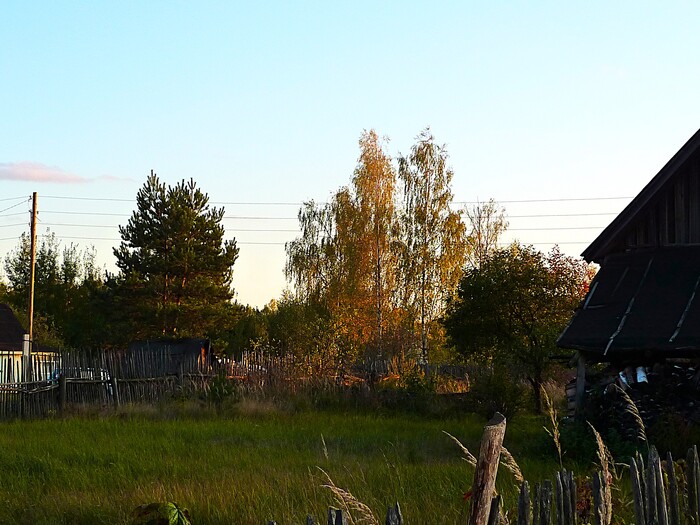 �������� ����