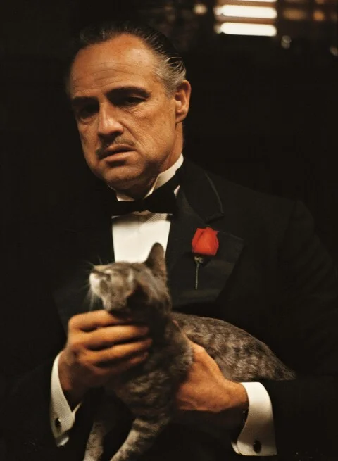 Before and after - It Was-It Was, Godfather, Marlon Brando, Movies, Movie heroes, Fat cats, Repeat