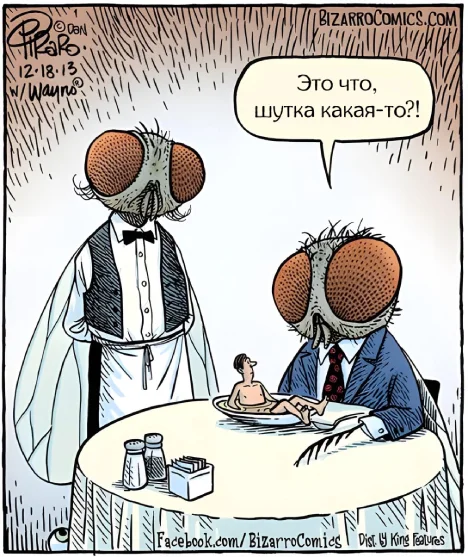 Waiter, I have… in my soup. - Bizarrocomics, Translated by myself, Comics, Humor, Муха, Soup, Person