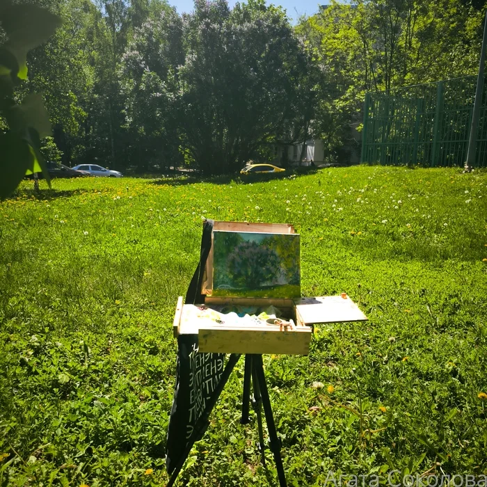 Plein air in the area - My, Plein air, Painting, Oil painting, Tsaritsyno, In the area, Canvas, Author's painting, Lilac, Longpost