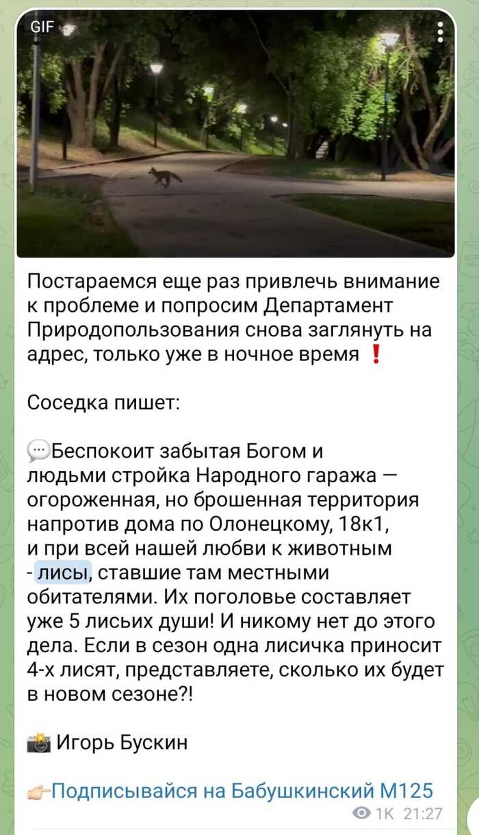 Moscow. SVAO. Need help with wild animals, no casualties yet! - My, Officials, City hall, North-East Administrative District, Moscow, Wild animals, news, Negative, Video, Vertical video, Longpost, Fox