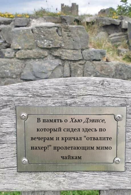 А какую надгробную надпись хотели бы себе вы? - Картинка с текстом, Юмор, Надгробие, Табличка