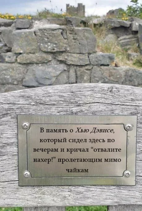 А какую надгробную надпись хотели бы себе вы? - Картинка с текстом, Юмор, Надгробие, Табличка