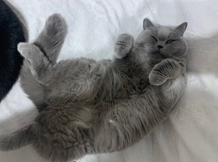 ����, ��� � ������ ��� �����, ����� ������� � ���������� ������� � �������� �� �����������. ���� ����� ����� ���� � �� �������� �������, ����� ����� �������� 20�30 �����