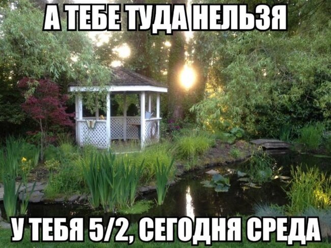 ������� � ������ ��� �������