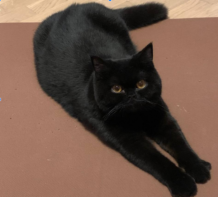 ��� �������, ��� ���� � ������ ����� �������� ������� � ����� �� ��, ��� �������� ����� ���������&nbsp;