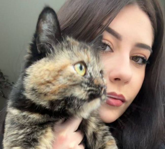 ������ ���� ��� ������ ����