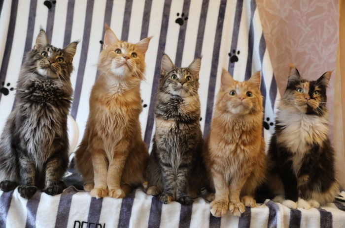 � ���� ��������� ���� ��� �������� ������: ������ �� ��� ������ ����� ����� ���