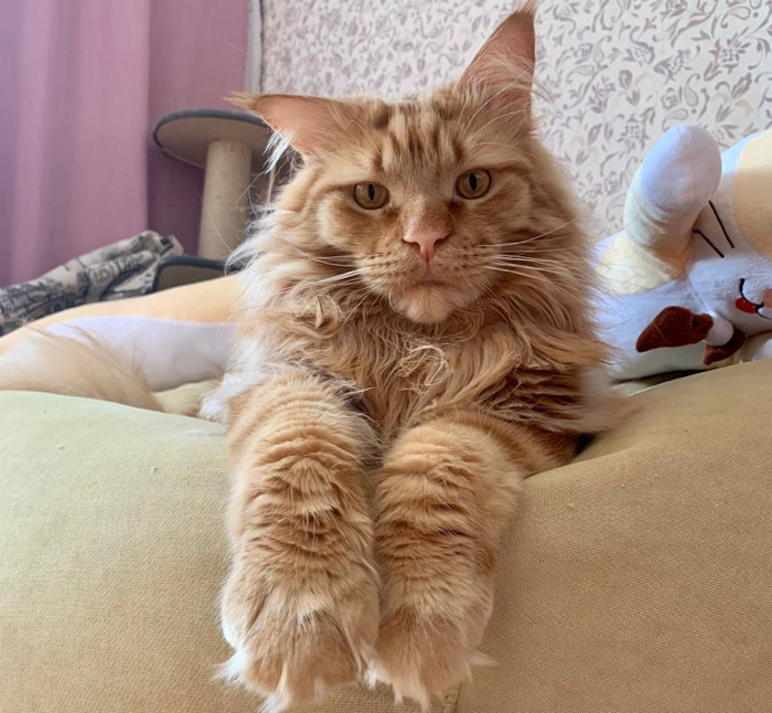 � �������, ��� � ����� ����� �������� ��� � � �, � ���. �� ������ �� ������� ������� ����� ���� � �������