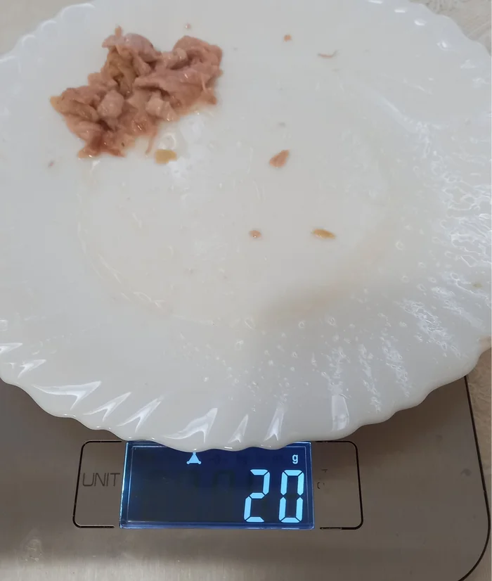 Canned meat. PO Luzhsky Canning Plant - Russian production, Canned food, Pork, Video, Soundless, Vertical video, Longpost, Series Canned meat
