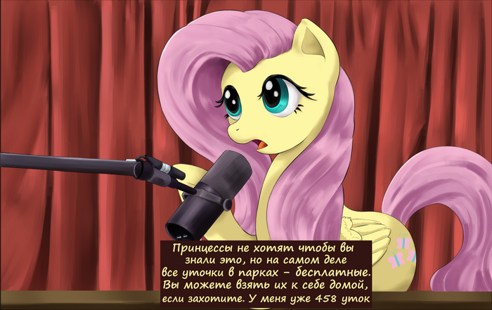  My Little Pony,  , Fluttershy