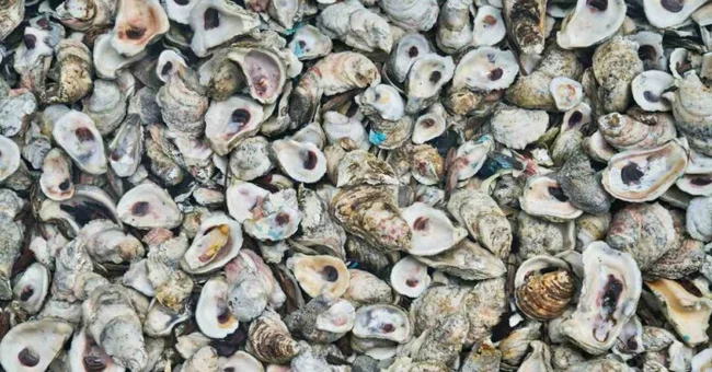 In Taiwan, oyster shells are turned into yarn - Ecology, Scientists, The science, Research, Garbage, Taiwan, Waste recycling