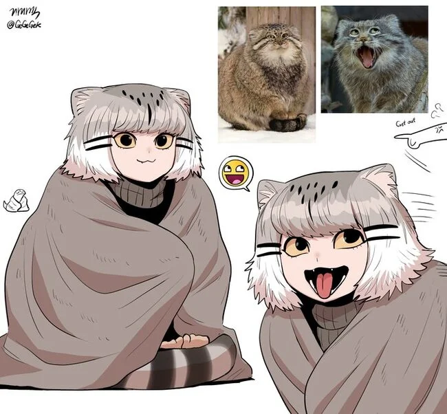 Anime-manul - Pallas' cat, Images, Anime, Twitter, Twitter (link), Repeat, Drawing