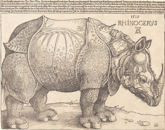 Albrecht D&#xFC;rer (1471 - 1528)  The Rhinoceros, 1515.
