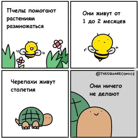 Несправедливость природы - Юмор, Комиксы, Перевел сам, Thesquarecomics, Telegram (ссылка), Пчелы, Черепаха