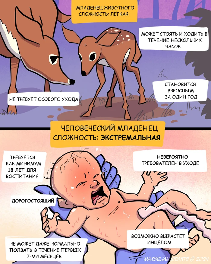 Artist Maximilian Uriarte - Picture with text, Babies, Animals, People, Translated by myself, Maximilianuriarte, Comics