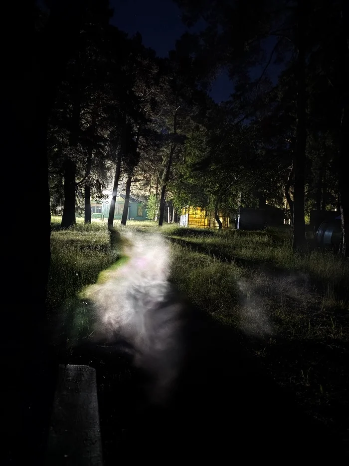 Night, fog, lantern... - Night, Fog, Lamp, Forest, Path, Nature, Relaxation