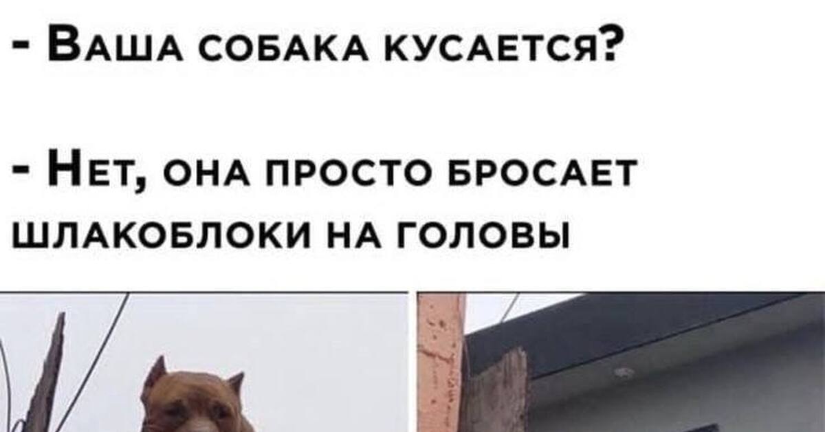 А вот мой друг