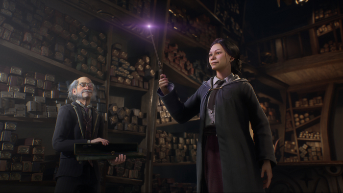Hogwarts Legacy II       , Steam,  , Hogwarts Legacy,  
