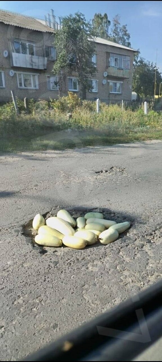 Pothole repair - My, Zucchini, Harvest, Road, Mobile photography