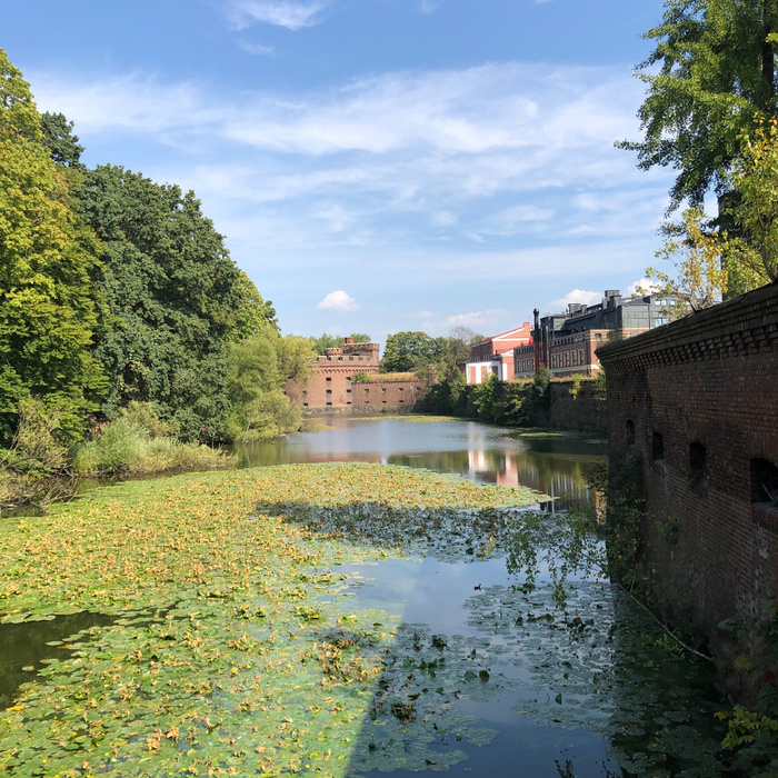 ������ � �����