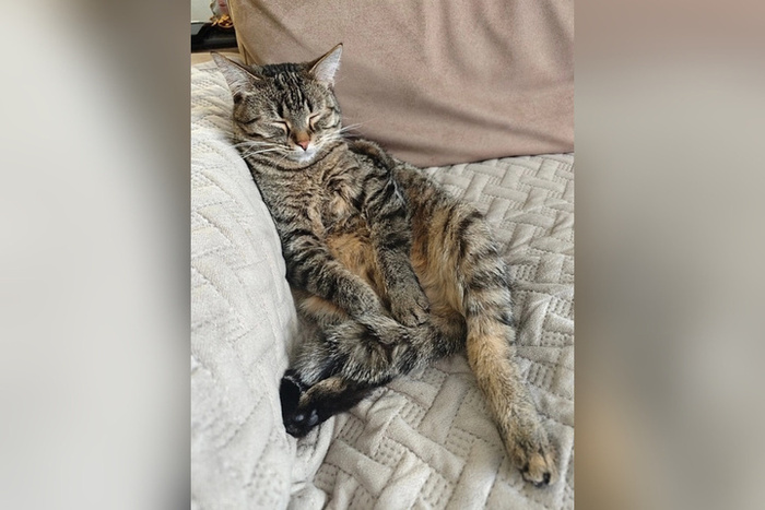 Дома тепло и хорошо!