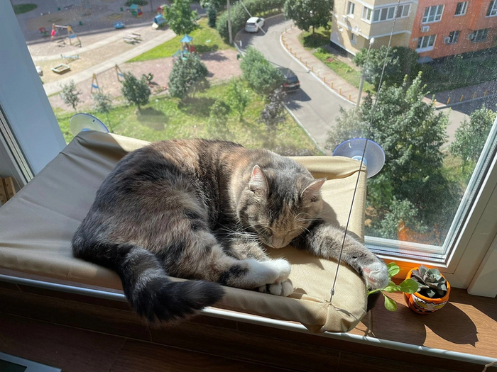 Морико уехала 19 мая 2024 года.