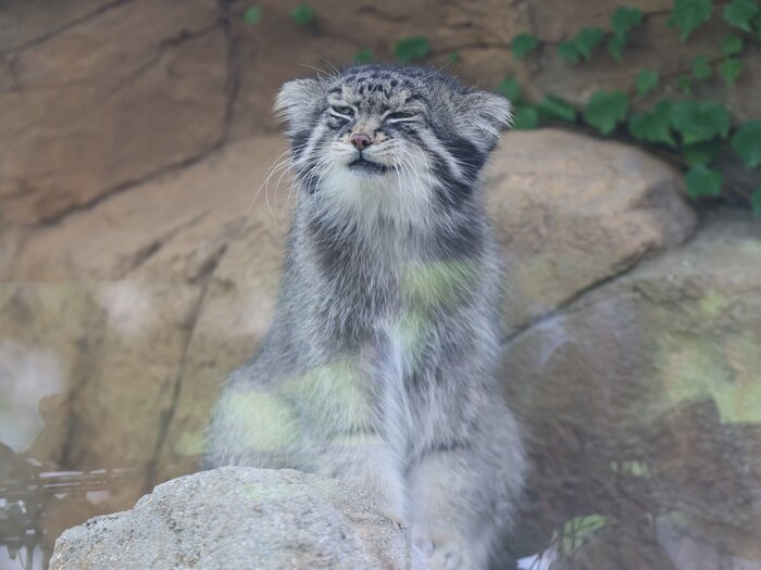 ��� �������� � ���������������� �������� � ��� ��������?