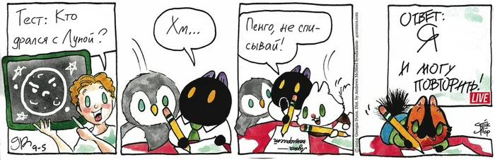 Koteikiny News from 09/05/2024 - My, cat, Comics, Koteikin news (comic), Translation