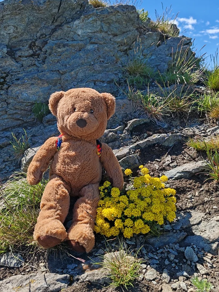 Omsk resident - conqueror of mountains - My, Mobile photography, Sugomak, Soft toy, Ural, Chelyabinsk region, Longpost