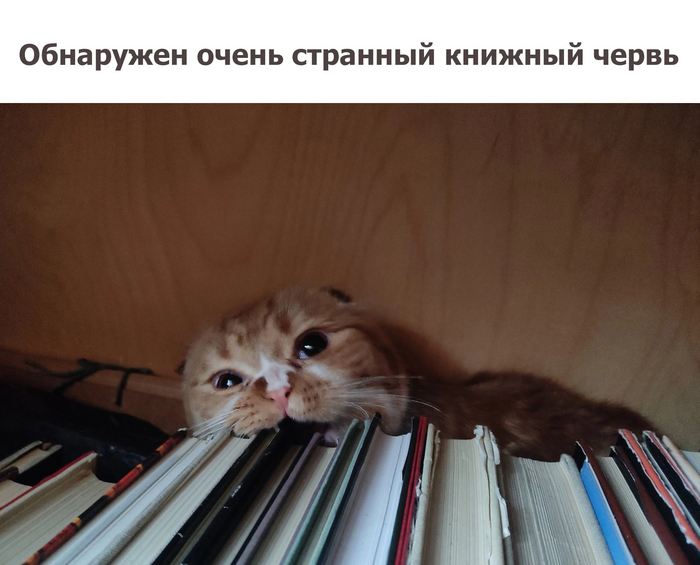 �� ������� �� ������� �� ���������� ������, ���� �� ������ ��������� �����������