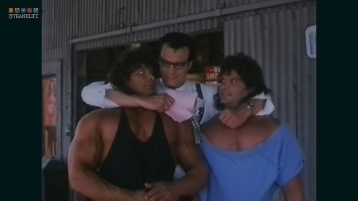 СЛАЖНАЯ ДАЛЬНОБОЙЩИЦКАЯ ЖЫЗН