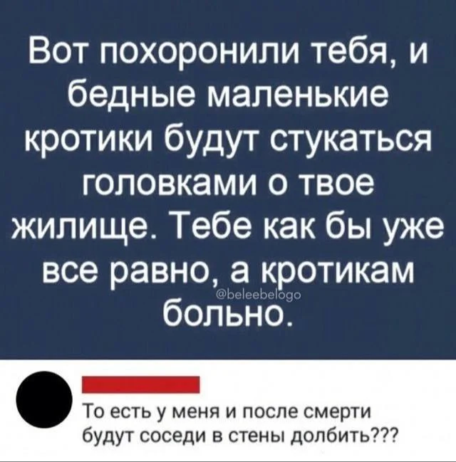 И после смерти покоя от соседей нет - Забавное, Юмор, Скриншот, Картинка с текстом, Повтор, Странный юмор, Комментарии, Крот, Похороны, Смерть, Зашакалено