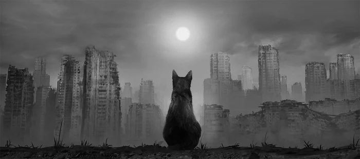 A star named Sun - My, Art, Digital drawing, Photoshop, Post apocalypse, cat, Procreate, Town, Collage