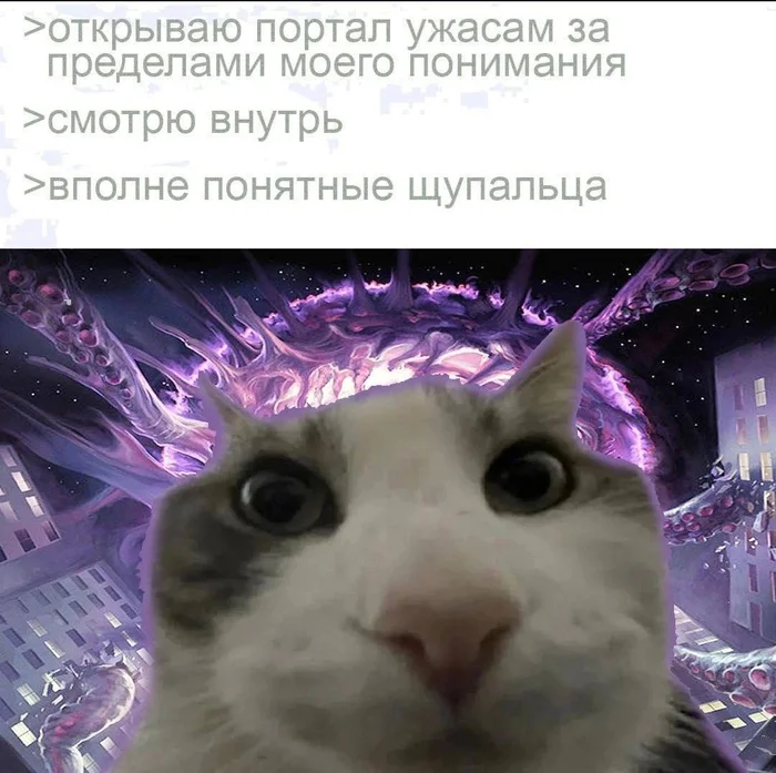 Portal - Humor, Picture with text, Memes, cat, Tentacles, Portal, Telegram (link)