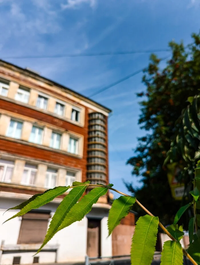 Otto Brown House or Butter Base - My, Tourism, Kaliningrad, The photo, Building, Historical building, Architecture, sights, Cities of Russia, Longpost